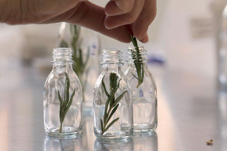 Botanicals in bottles