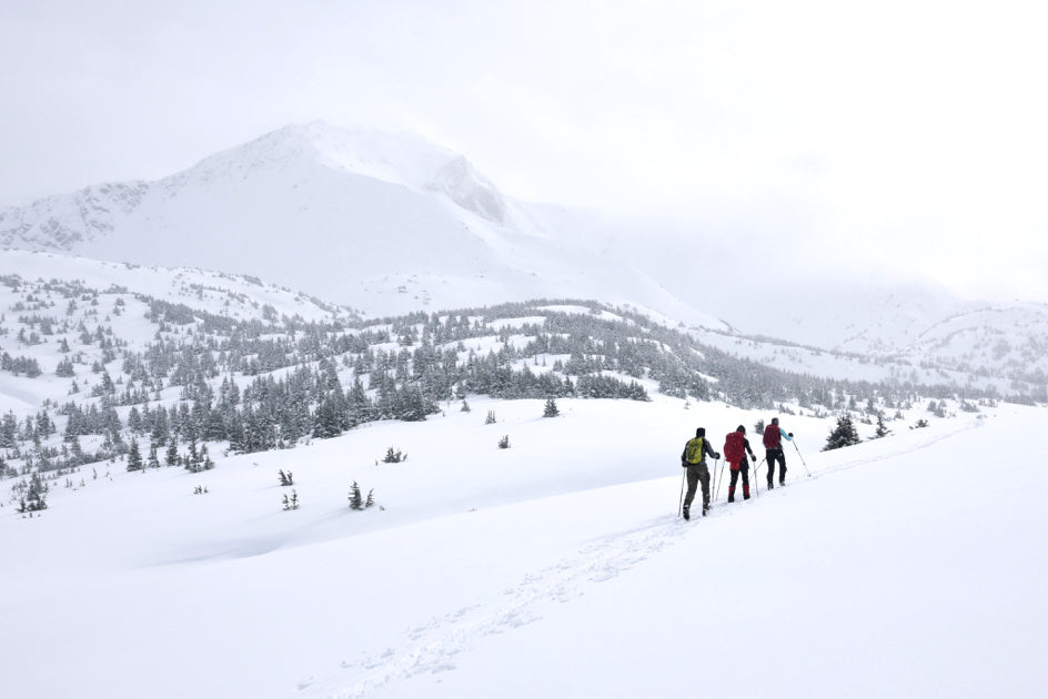 Mountain snow ski