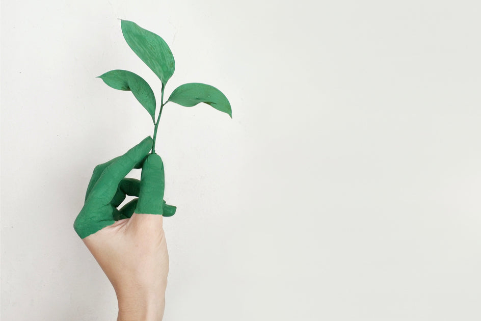 Greenwashing Hand & Plant Image