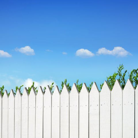 Garden Fence