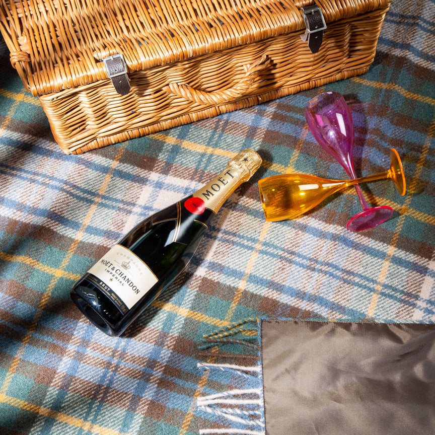 sin cable Temeridad yo How to Pack a Picnic - The Essential Picnic Items List – Heating & Plumbing  London