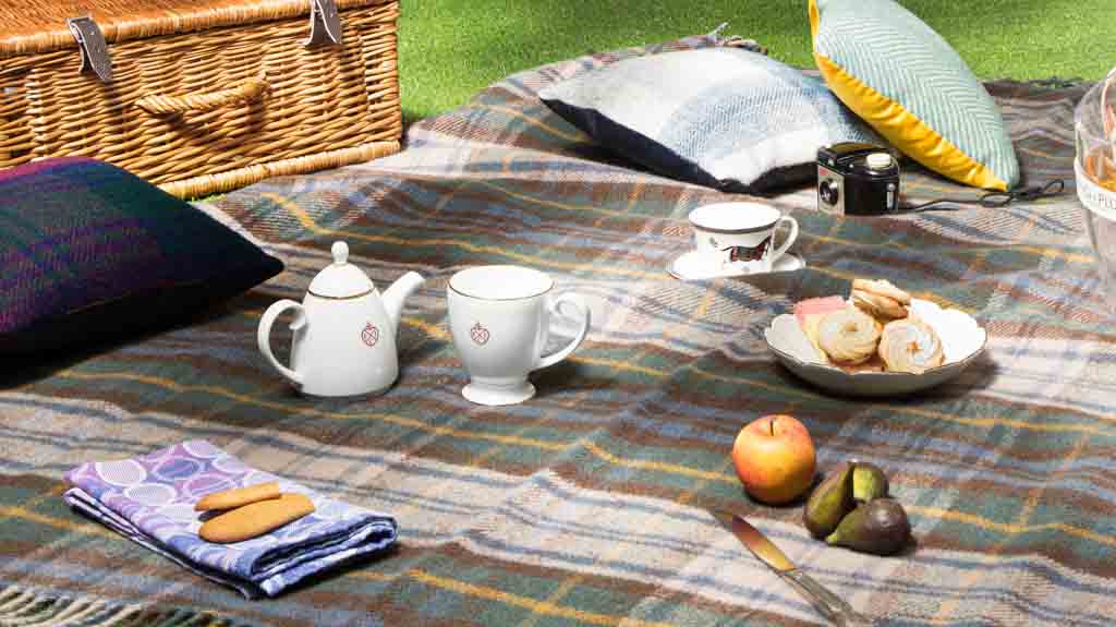 wool picnic blanket spread out in the park