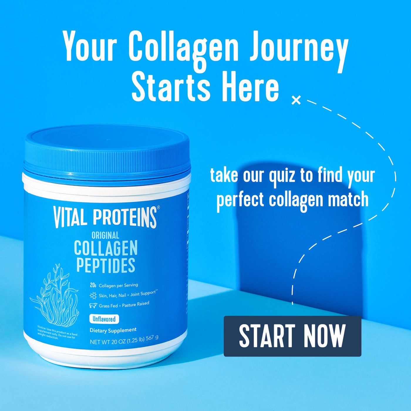 Collagen Protein Powder and Beef Gelatin - Vital Proteins