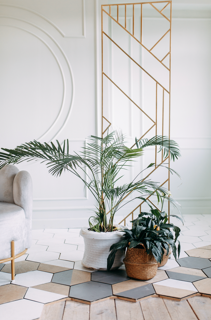 5 Feng Shui Tips to Bring Good Vibes to Your Space