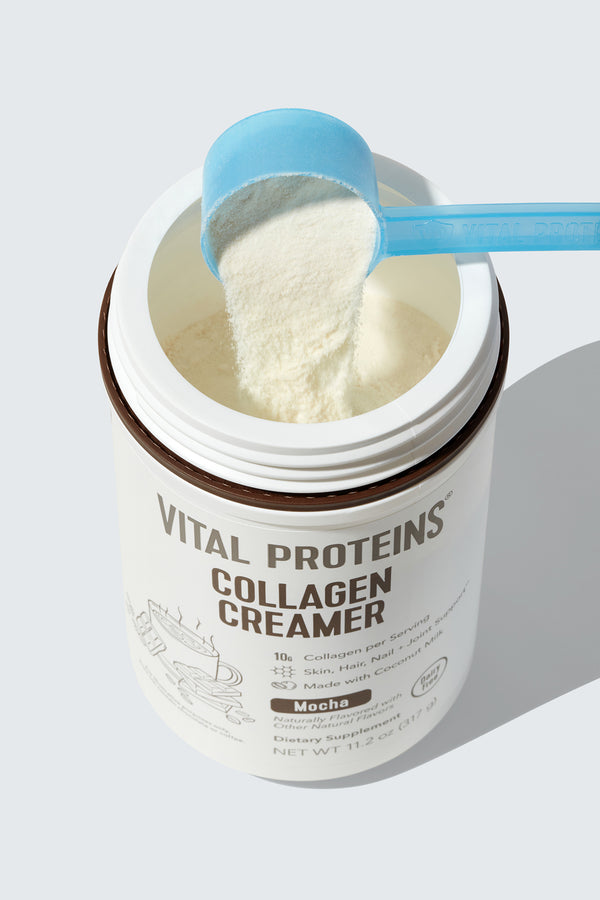 vital proteins peppermint mocha creamer