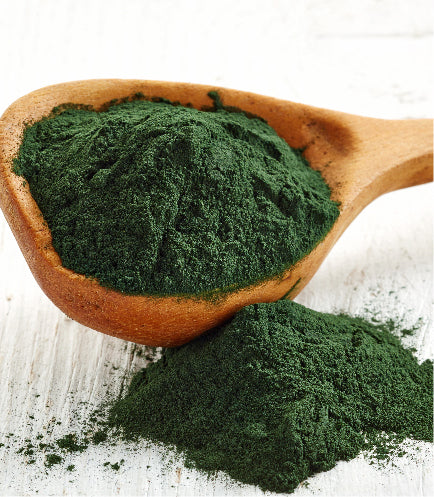 Image result for spirulina