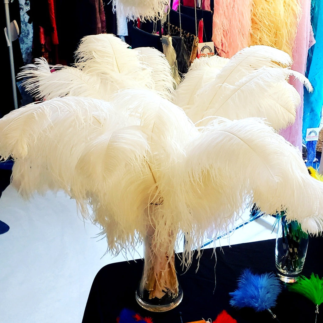 ostrich feathers ivory