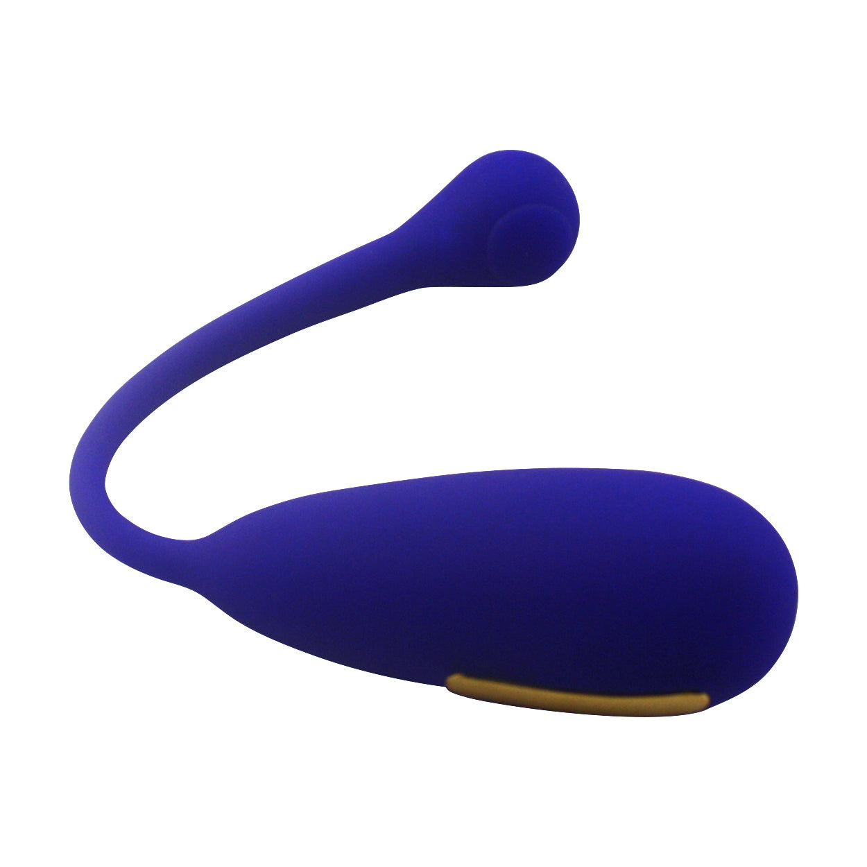 E-Stimulator Remote Kegel Exerciser