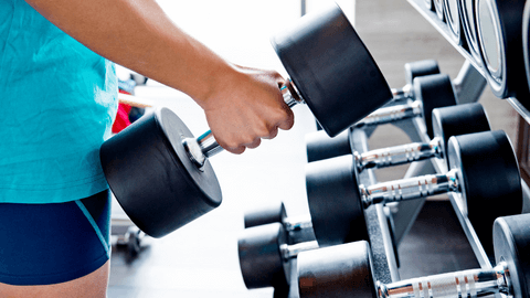 What are free weights and how do they work?