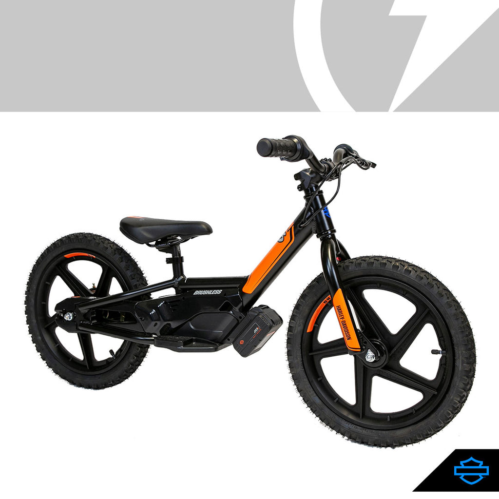 iron e electric bike
