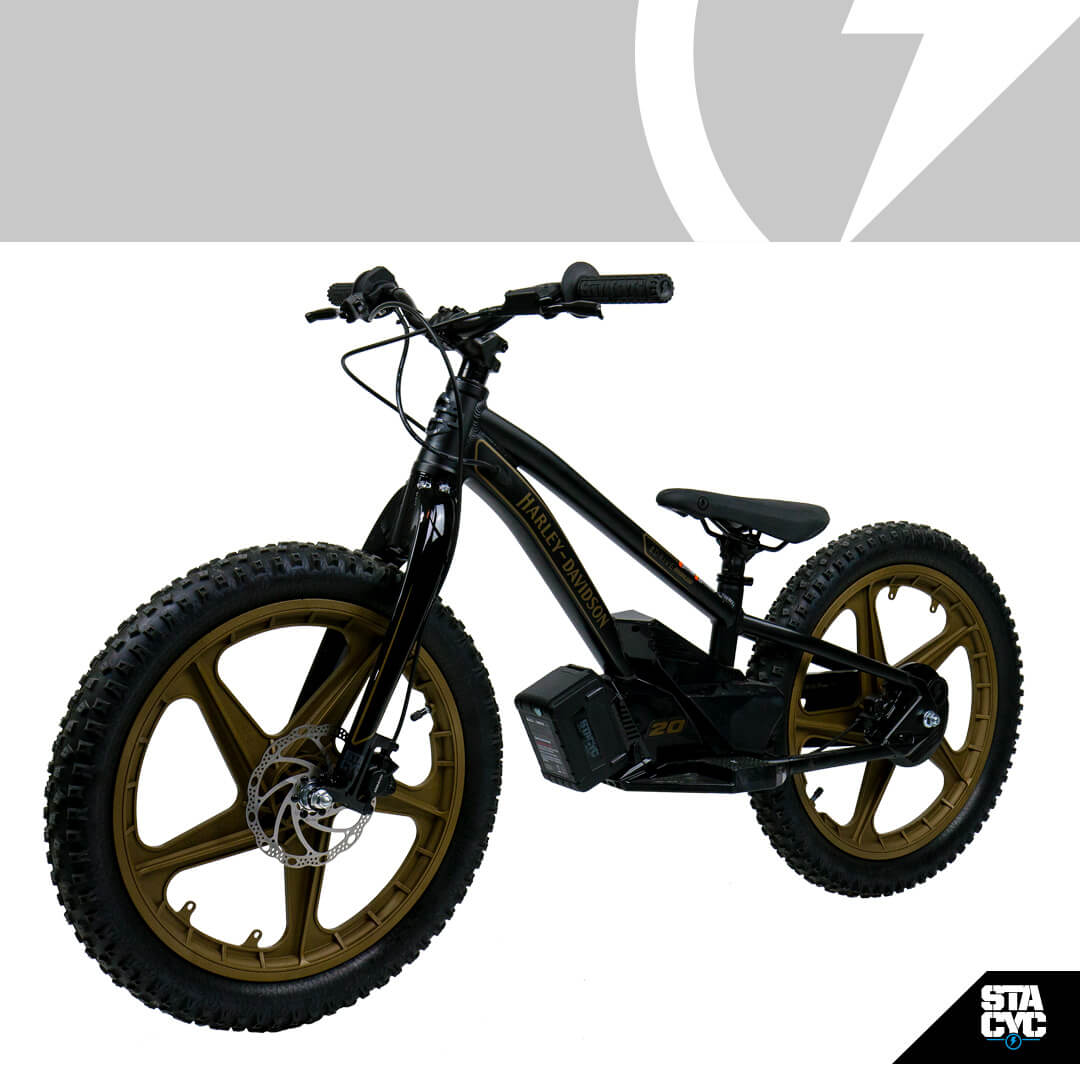 valk e bike