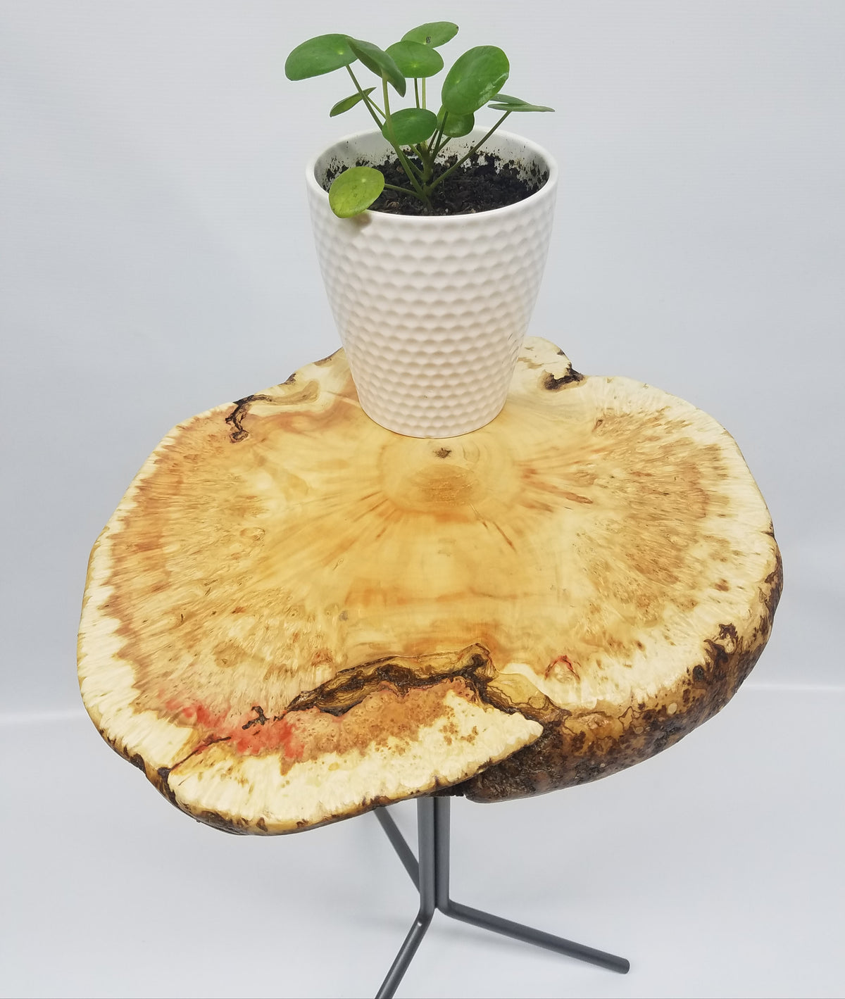 Spalted Maple Burl Side Table- End Table- Live Edge- Modern- Organic- -  Kentucky LiveEdge