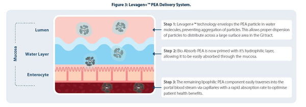 Bio Absorb PEA Figure 3  at HealthMasters