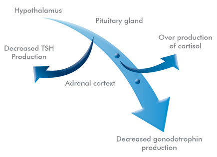 Metagenics AndroLift  | HealthMasters