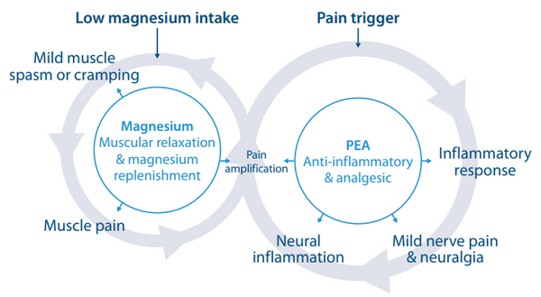 Metagenics PainX 10% off RRP at HealthMasters Metagenics Figure 1