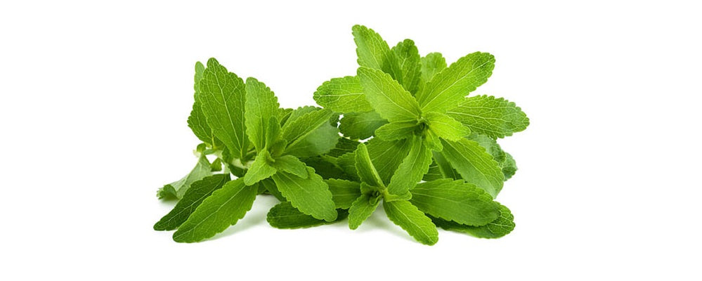 Stevia | HealthMasters