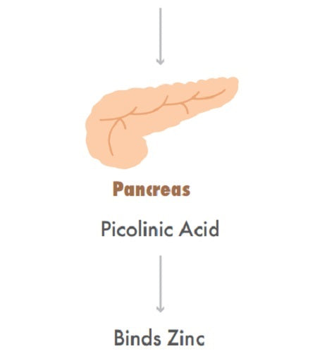 Vera’s Formulations Zinc Picolinate 10% off RRP Figure 2