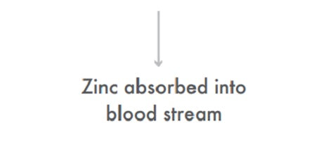 Vera’s Formulations Zinc Picolinate 10% off RRP Figure 3