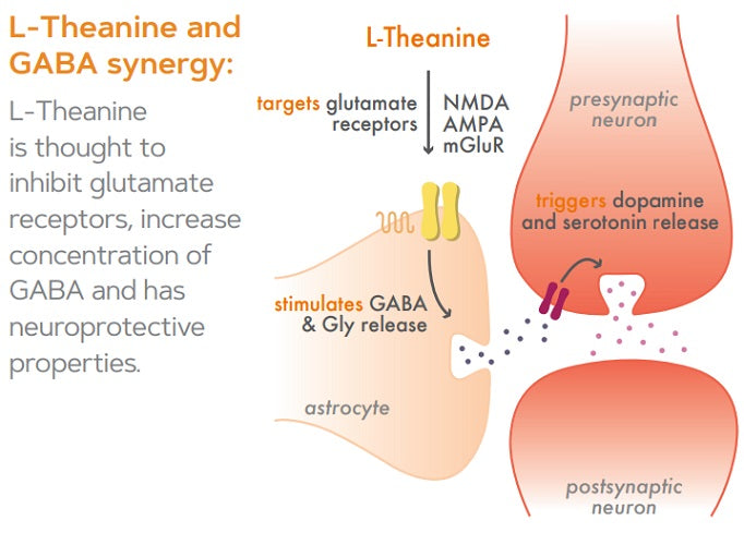 Vera’s Formulations GABA + L-Theanine 10% off RRP Figure 1 | HealthMasters