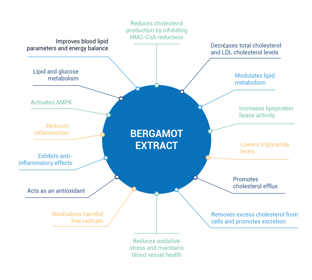 RN Labs Bergastat 10% off RRP | HealthMasters RN Labs Actions