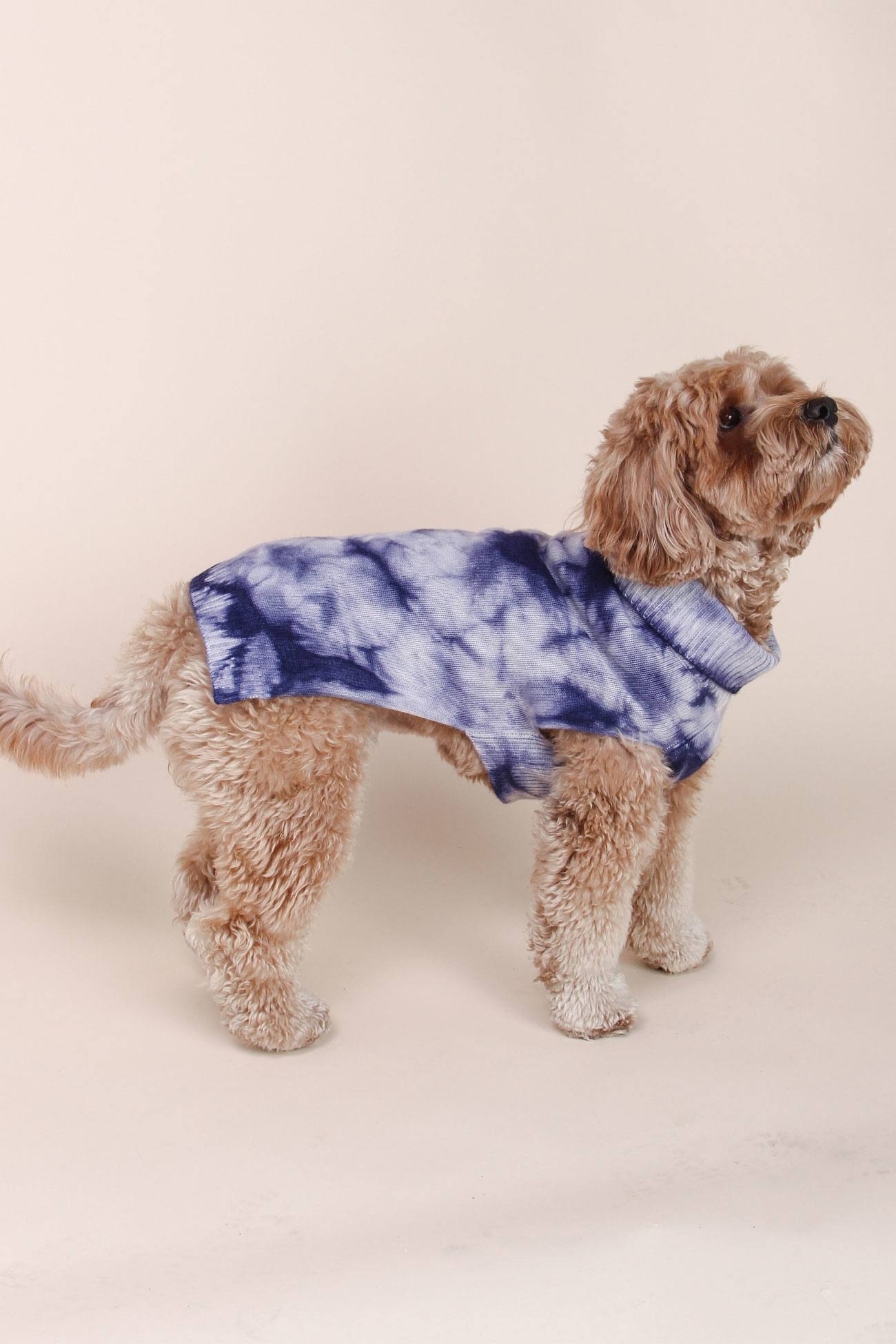 Cashmere Tie Dye Dog Sweater 