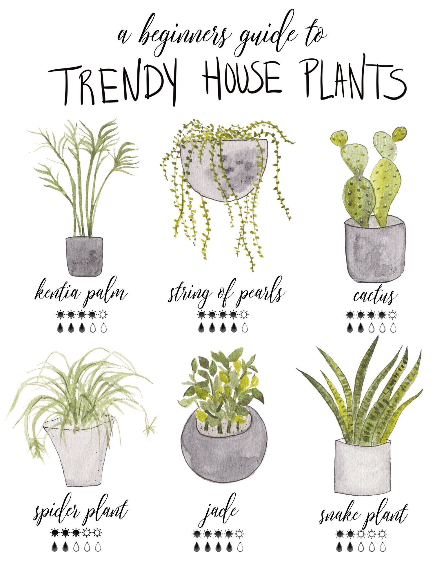Trendy House Plants Beginners Guide Art Print Tonja Wilcox Art Illustration