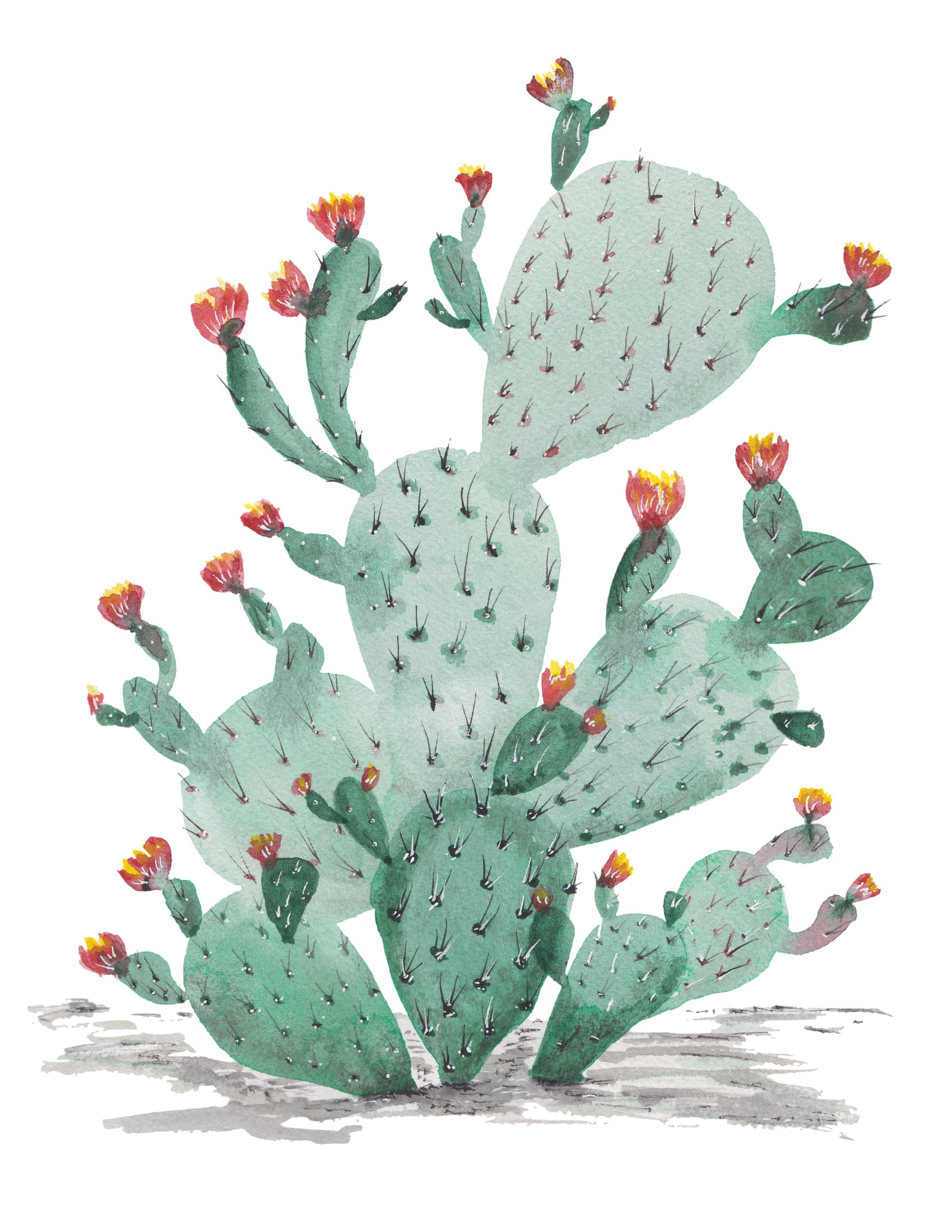 Cacti in Bloom- Southwest Colors-Art Print – Good Honey Handmade by ...