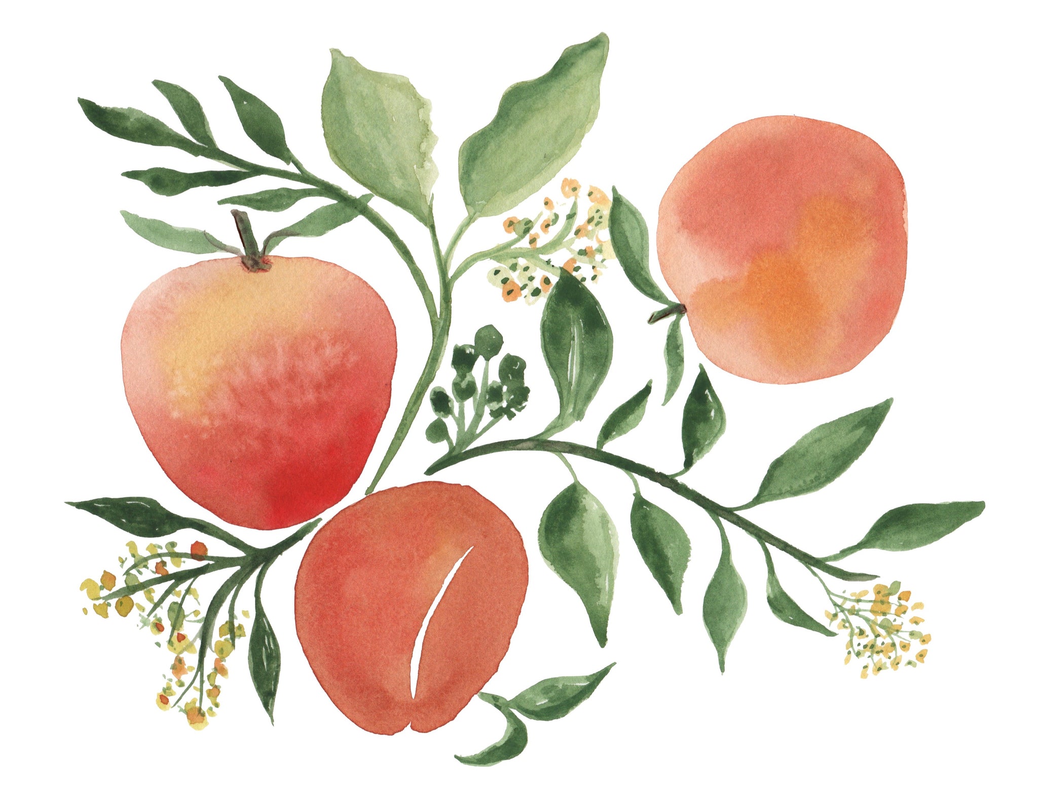 Peaches Art Print Good Honey Handmade by Tonja Wilcox