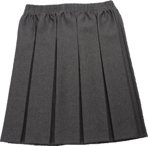 Box Pleated Skirt (Available in 3 Colours) | The School Outfit