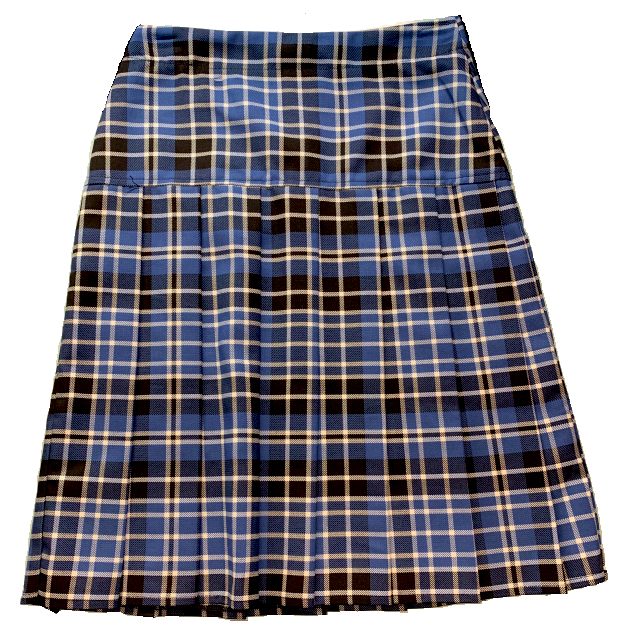 NEW! Lord Lawson Of Beamish Academy Pleated Skirt ¦ The School Outfit