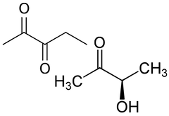 Intermediate Måne søster Can Vaping E-liquids With Diacetyl or Diketones Cause Popcorn Lung? –  Sydney Vape Co