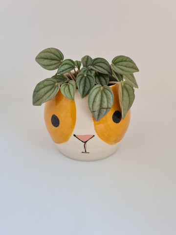 Guinea Pig Pot by Charlotte Miller Ceramics