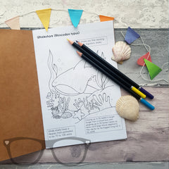 Open Colouring book showing a page of a whale shark ready to be coloured in