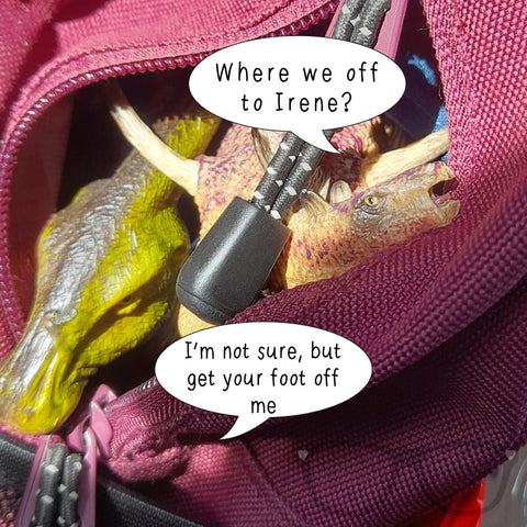 Derek and Irene the dinosaurs hitching a ride in my bag, visiting Wollaton Hall