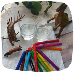 Rainbow experiment using kitchen towel, water and felt tip pens