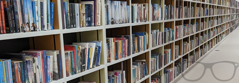 Bookshelves filled with books at the local library