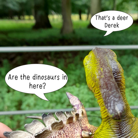 Derek and Irene looking out for Deer at Wollaton Hall, Nottingham