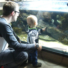 The Mini Geek and the Mr Geek watching some fish at Plymouth Aquarium