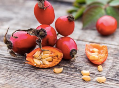 Rosehip Seeds