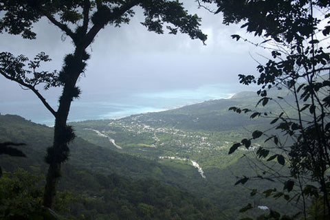 Blick von der Kaffeeplantage in Barahona auf das Meer 