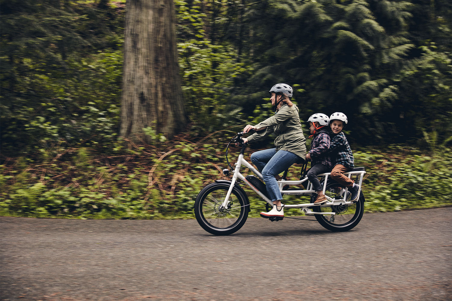 electric bike wagon