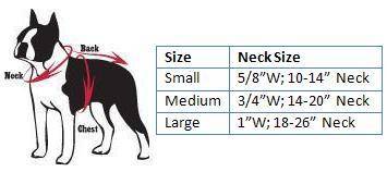 Dog Sports & College Size Charts