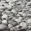 Stones for a Nest is a miniature pencil drawing by Sue deLearie Adair