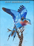 A Thorny Perch (African Lilac Roller) is an original  oil painting by Beverly Abbott.