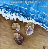 Shell Trio is an oil painting by Sharon Whitehurst. 