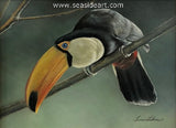 Watching (Toco Toucan) is a watercolor painting by Bonnie Latham