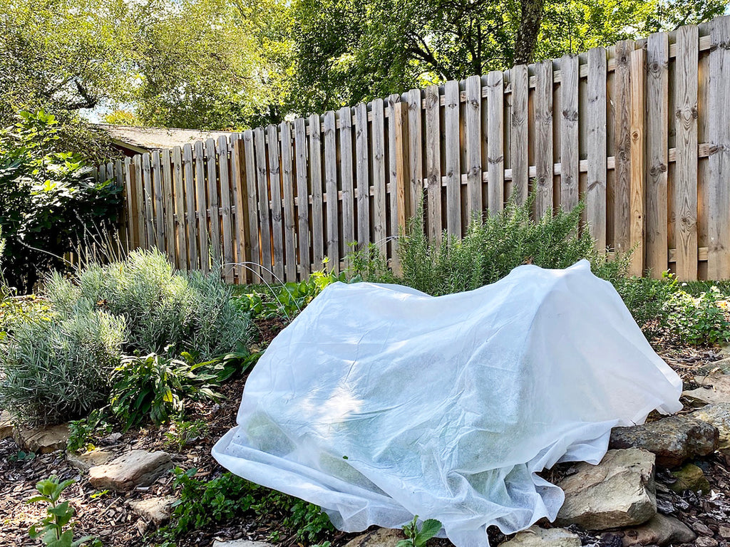 Row Cover to Avoid Frost Damage in the Garden