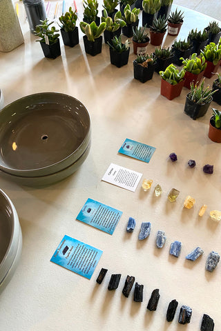 Miniature Zen Garden Workshop | Nashville, TN