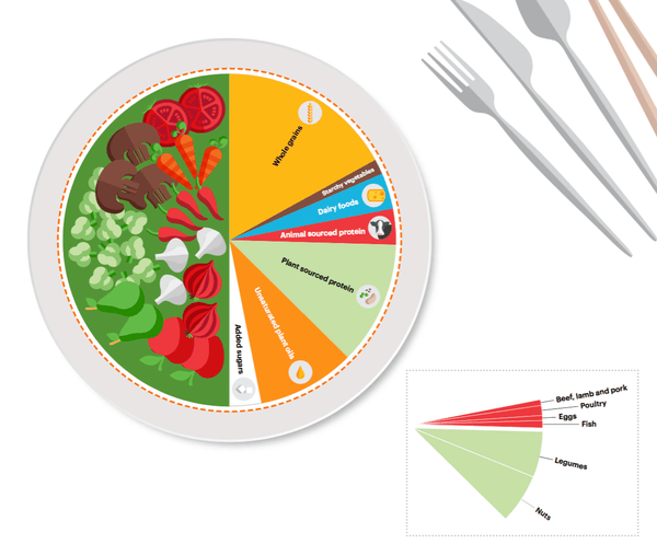 planetary health diet plate