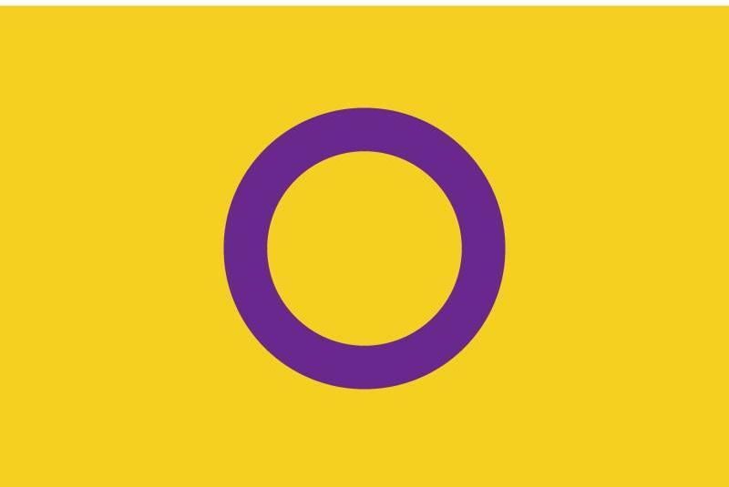 Intersex Pride Flag By Organization Intersex International Australia